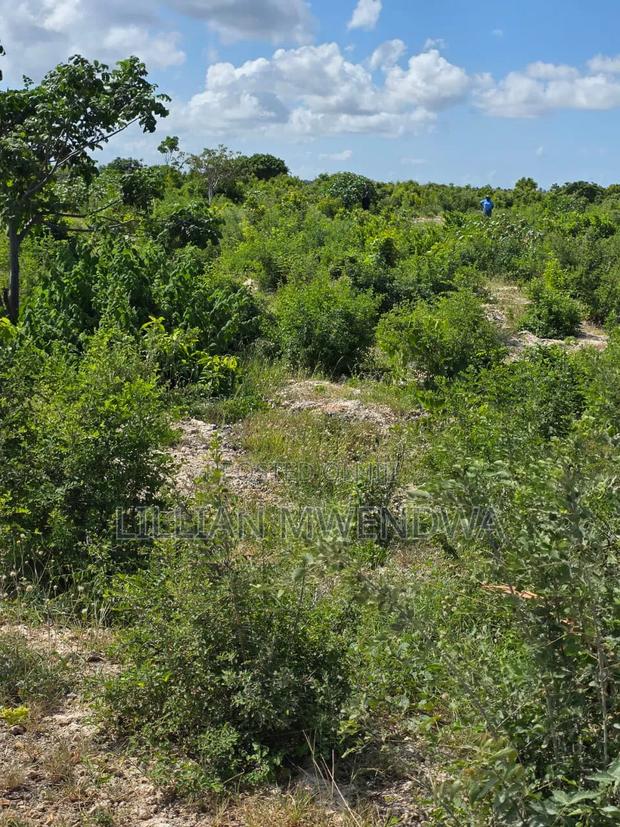 Jacaranda Plots - thumbnail 2