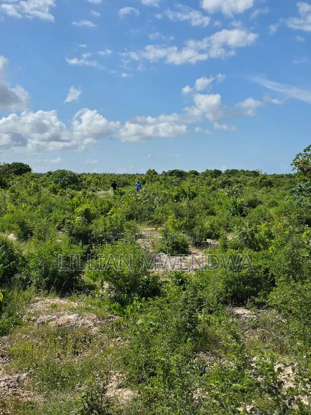 Jacaranda Plots - thumbnail 3