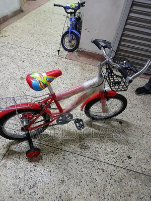 Victory 16-Inch Kids Bicycle With Training Wheel 