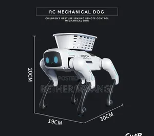 Children's Gesture Sensing Remote Control Mechanical Dog in Kenya