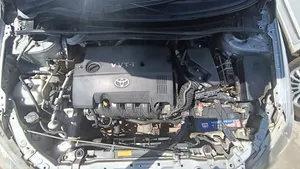 Toyota Corolla Fielder 2008 Gray