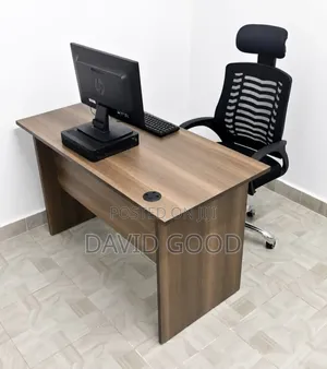 Mini Orthopedic Chair and Office Table