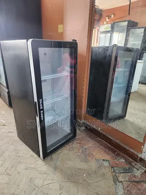 Tested Working Display Chiller