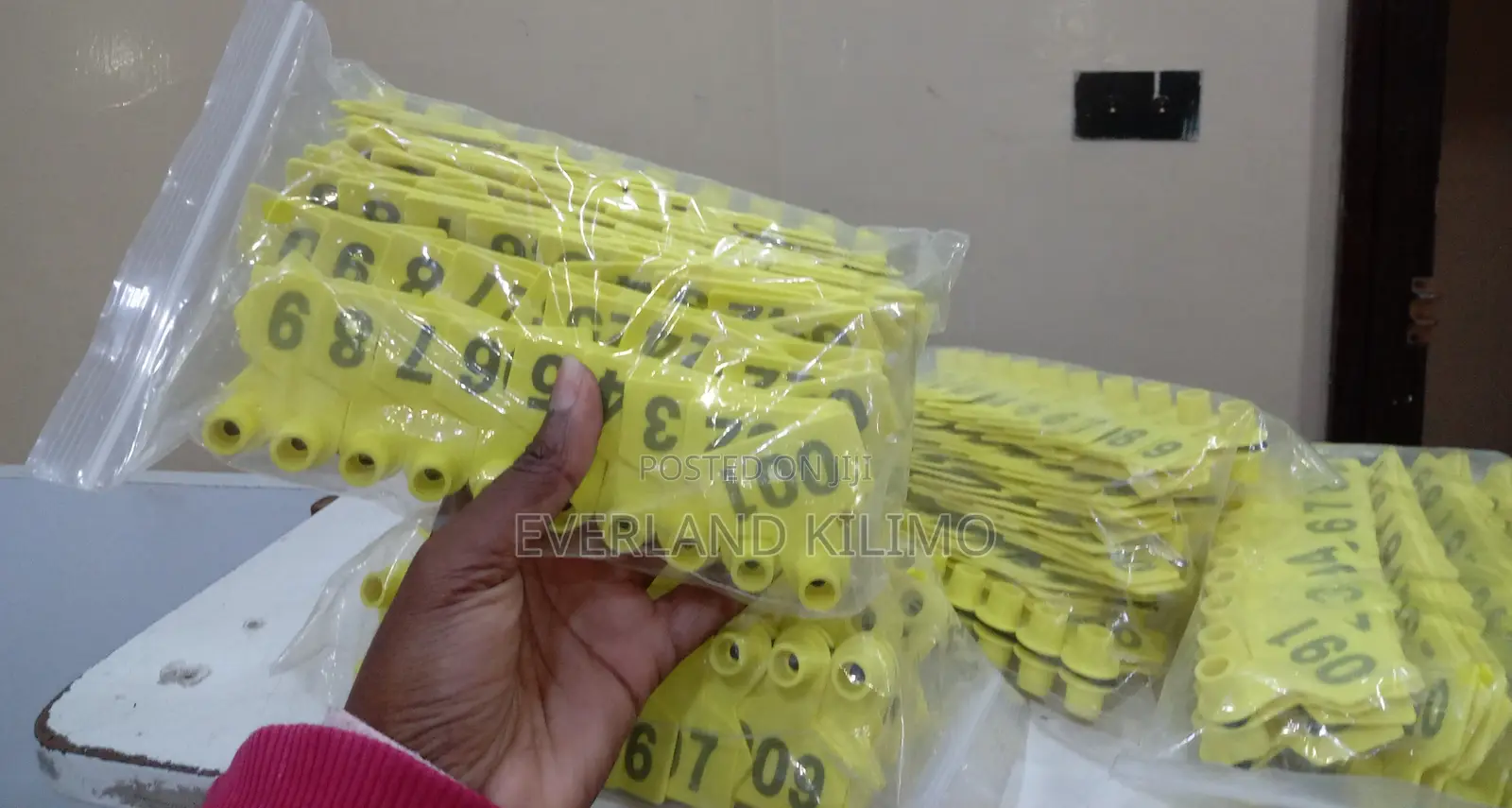 100 Pieces Yellow Goats Small Tags - Numbered Each