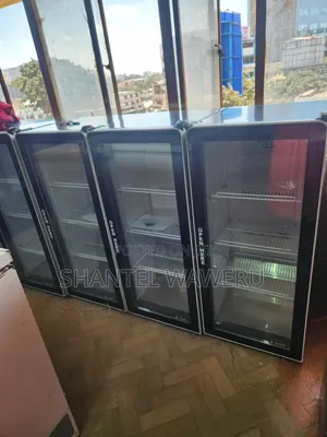 Clearance Mirror Display Fridge