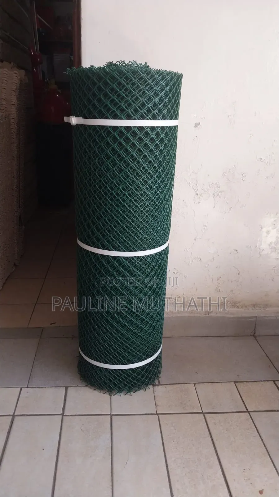 Plastic Chicken Wire Mesh
