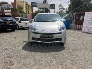 Toyota Passo 2010 Silver