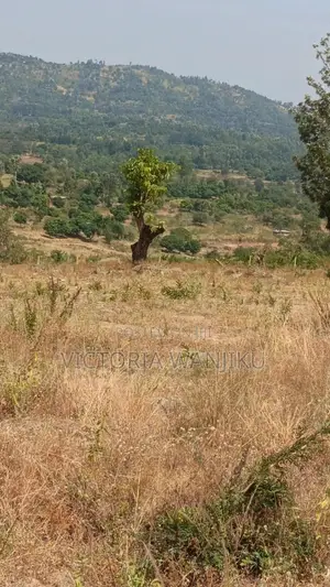 50*100 Mananja /Makuyu