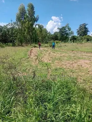 50*100 Mananja /Makuyu