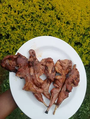 Fresh Rabbit Meat