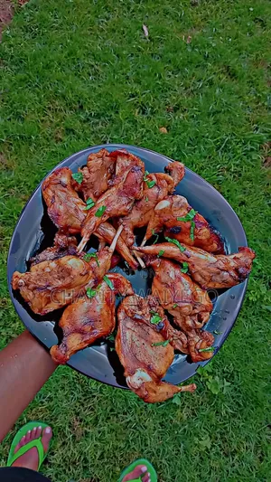 Fresh Rabbit Meat