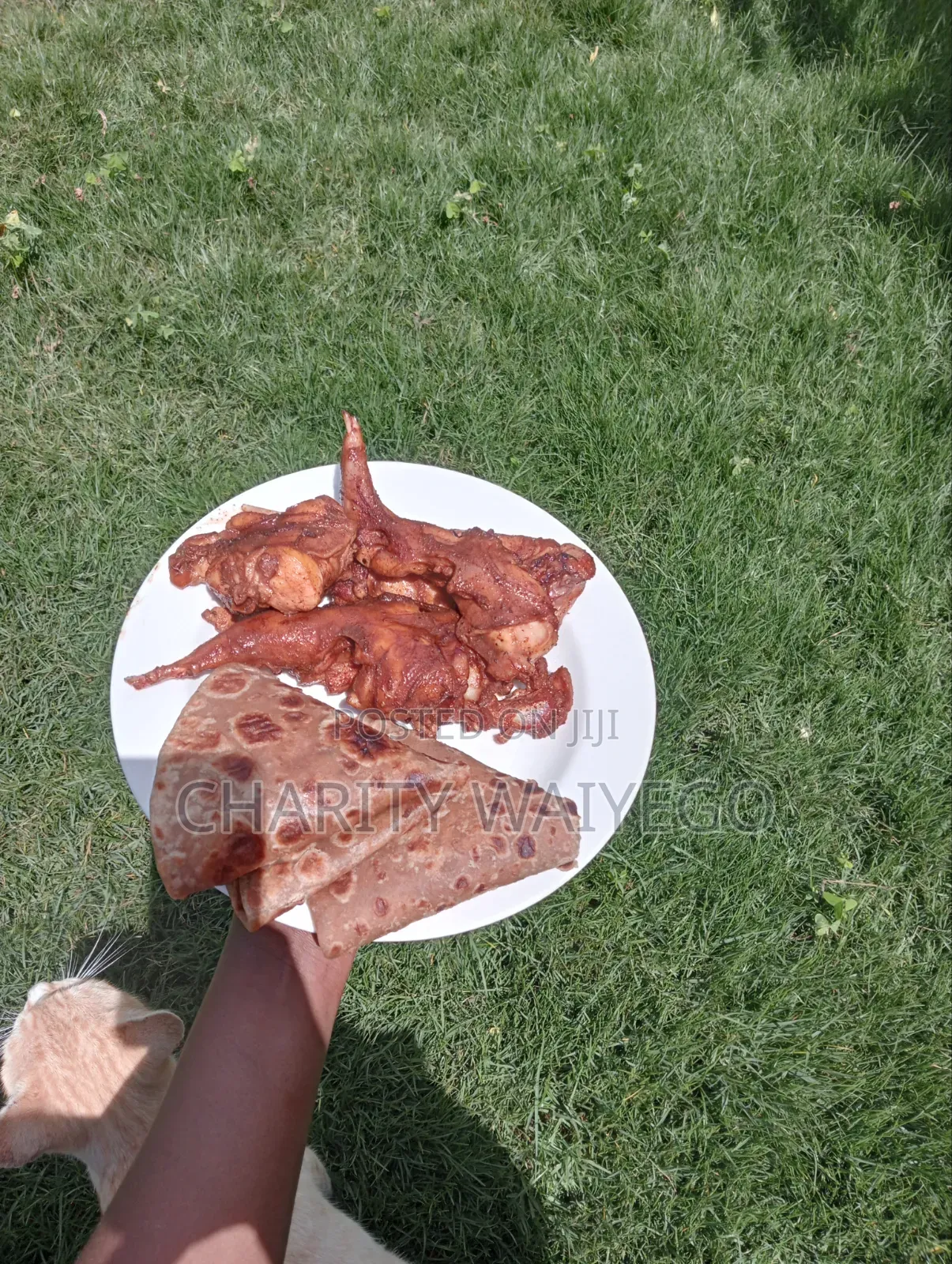 Fresh Rabbit Meat