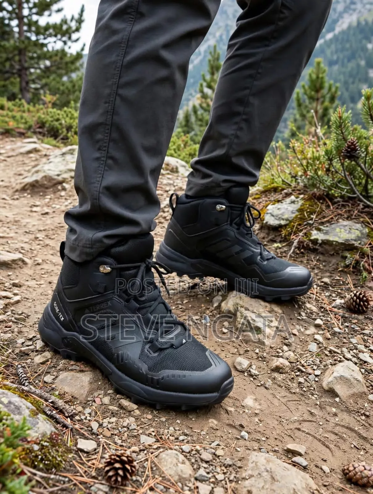 Adidas Terrex Hiking Boots