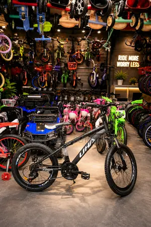 UHA Mountain Bike SIZE 20 With Gear