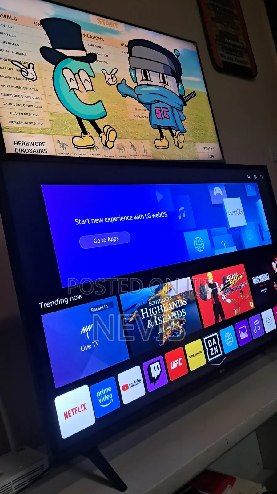 LG 43inch TV