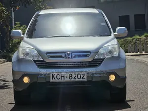 Honda CR-V 2009 Gray