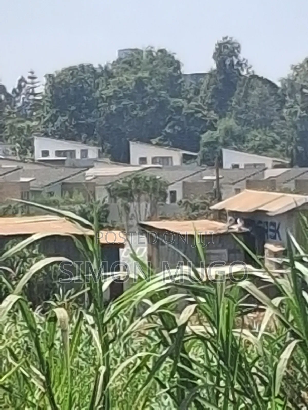 Runda Kwaheri Rd 5.5 AC Ideal for Town Houses Quick Sale 55m Per Acre