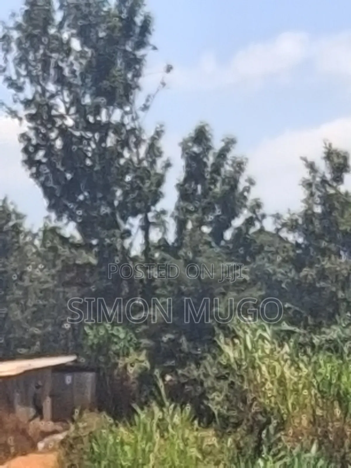 Runda Kwaheri Rd 5.5 AC Ideal for Town Houses Quick Sale 55m Per Acre