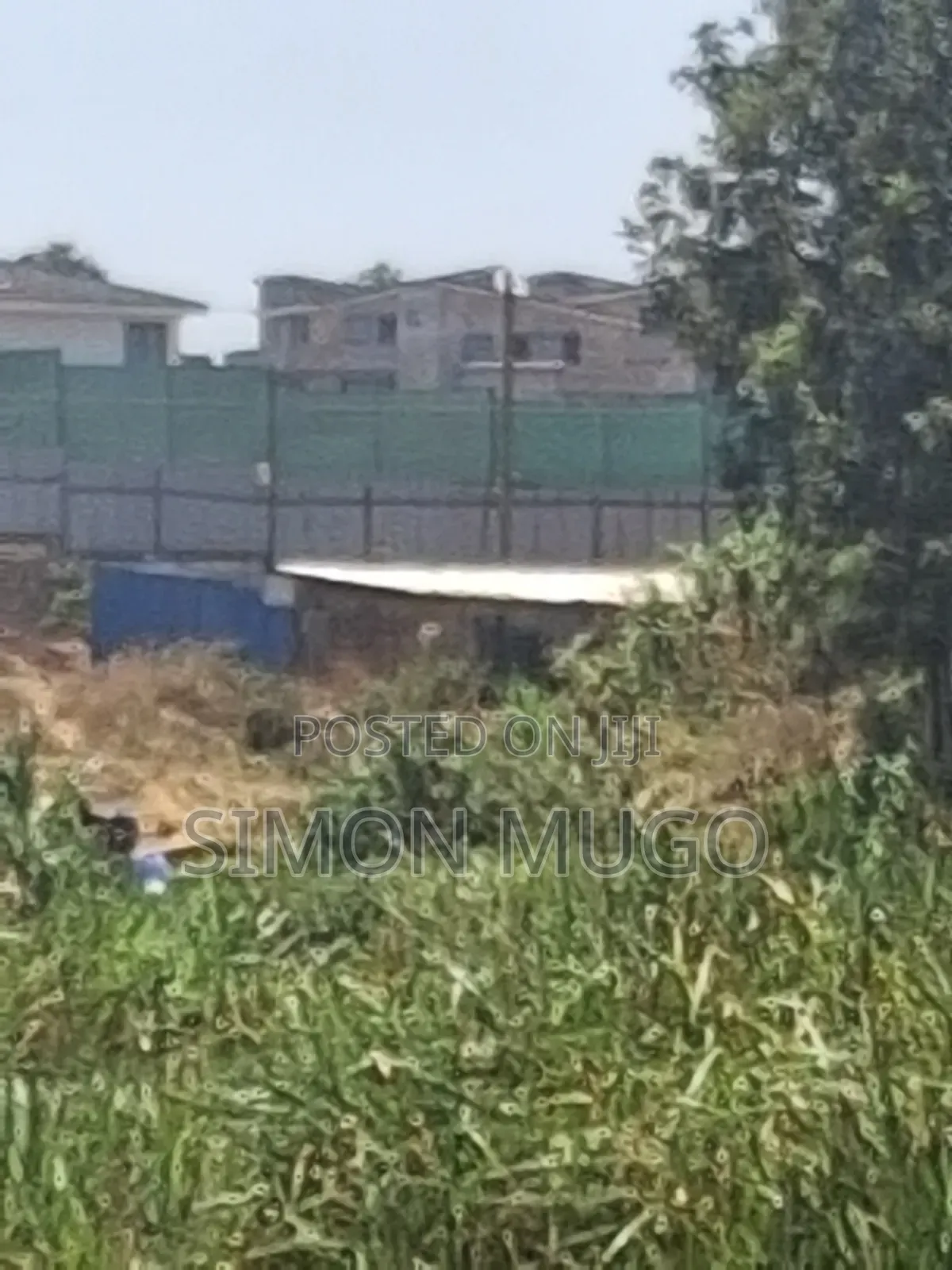 Runda Kwaheri Rd 5.5 AC Ideal for Town Houses Quick Sale 55m Per Acre