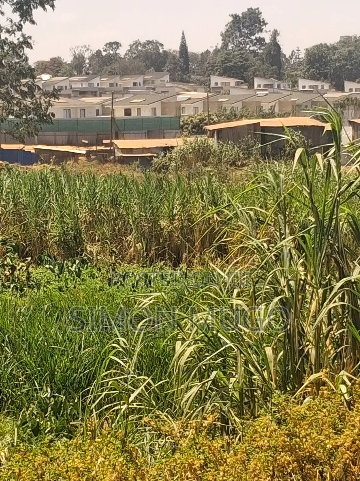 Runda Kwaheri Rd 5.5 AC Ideal for Town Houses Quick Sale 55m Per Acre