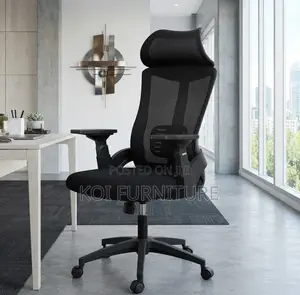 Office Chairs; Executive Ergonomic Lama Office Chair