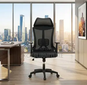 Office Chairs; Executive Ergonomic Lama Office Chair