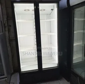 2 Door Chiller _ Glass Door