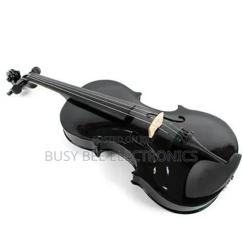 Acoustic Violin With Music Stand and Shoulder Rest- Black
