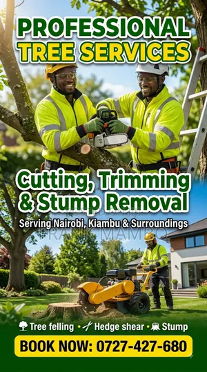 Tree Felling and Stamp Removal Services