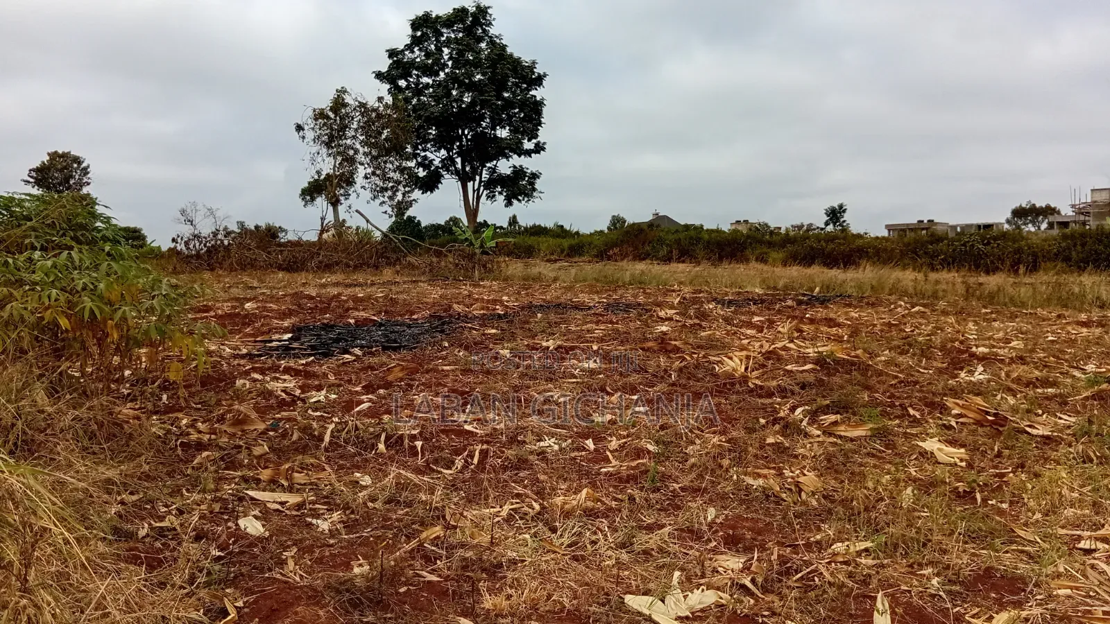 50*100 Juja,Mang'u Plots