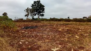 50*100 Juja,Mang'u Plots