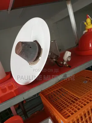 Damly Gas Heater Burner for 2000-2500 Chicks