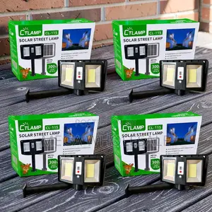 Manufacturer Prices Auto Sensor CTLamp 300W Led Solar Street Light