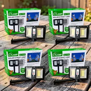 Wholesale Deals Motion Sensor CTLamp 300W Led Solar Street Light