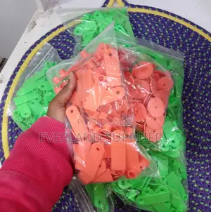Orange Customizable Ear Tags for Goats