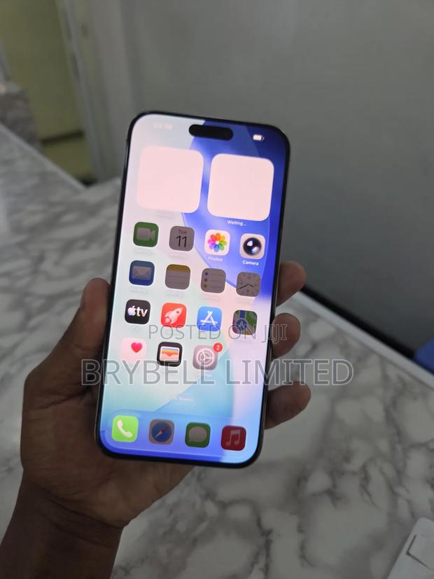 Apple iPhone 15 Pro Max 256 GB Silver - thumbnail 2