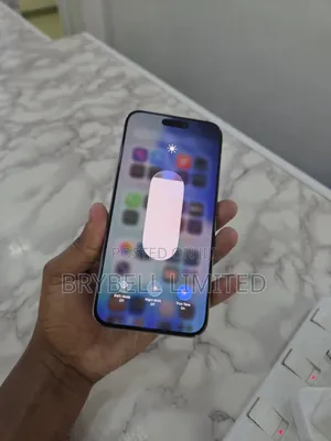 Apple iPhone 15 Pro Max 256 GB Silver