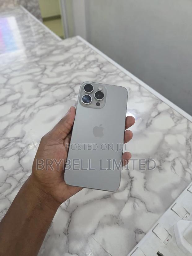 Apple iPhone 15 Pro Max 256 GB Silver - main view