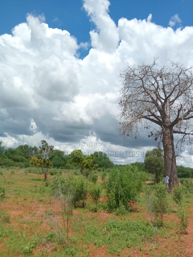Over 250 Acres With Water in Makueni Is Available for Lease - thumbnail 3