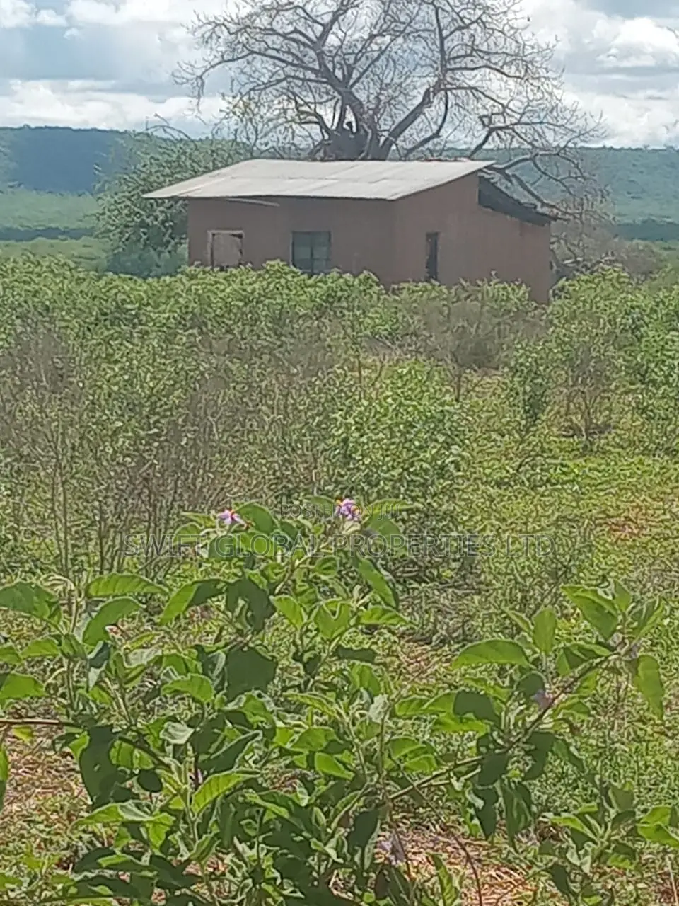 Over 250 Acres With Water in Makueni Is Available for Lease