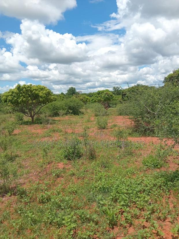 Over 250 Acres With Water in Makueni Is Available for Lease - thumbnail 4