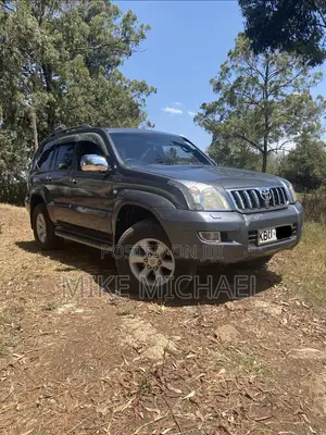 Toyota Land Cruiser Prado 3.0 D-4D 5dr 2005 Gray