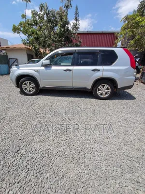Nissan X-Trail 2013 Silver