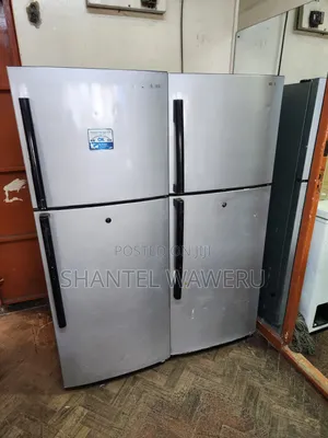 Big Samsung Door Fridge