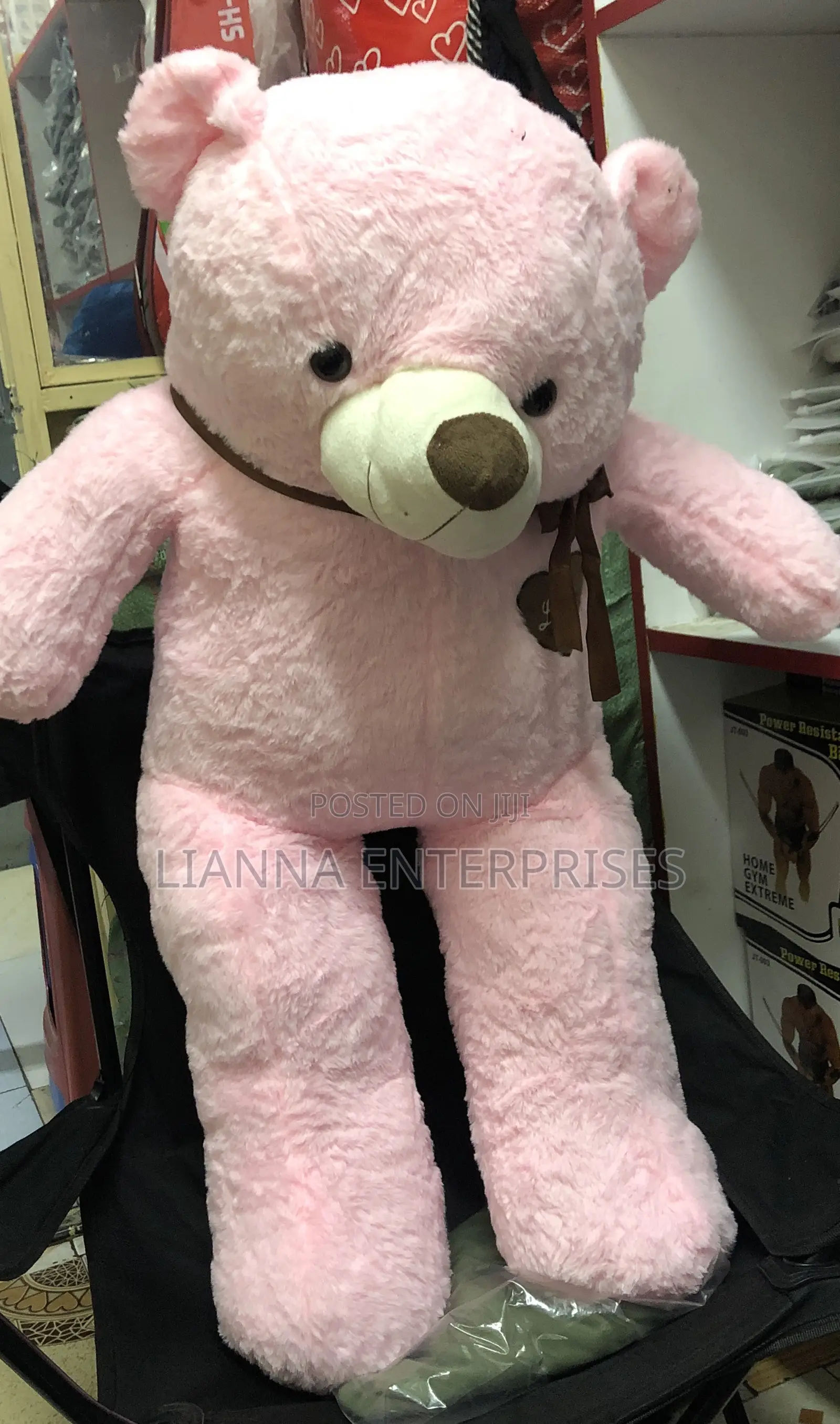 Pink Teddy Bear
