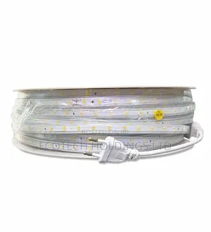 50mtrs 6mm Led Snake Light.
