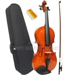 4/4 Full Size Violin With Complete Accessories