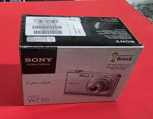 Sony DSC-W710 16 MP Digital Camera With 2.7-Inch LCD
