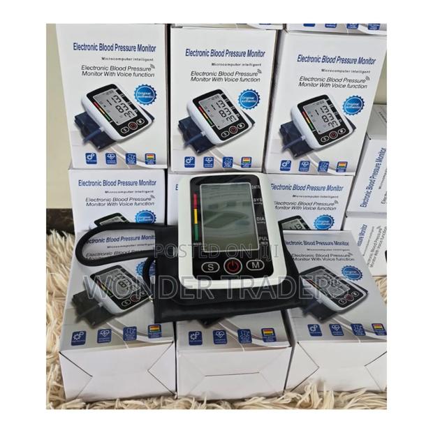 Electronic Blood Pressure Monitor* - main view