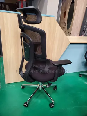 Orthopedic Ergoposture Office Chair
